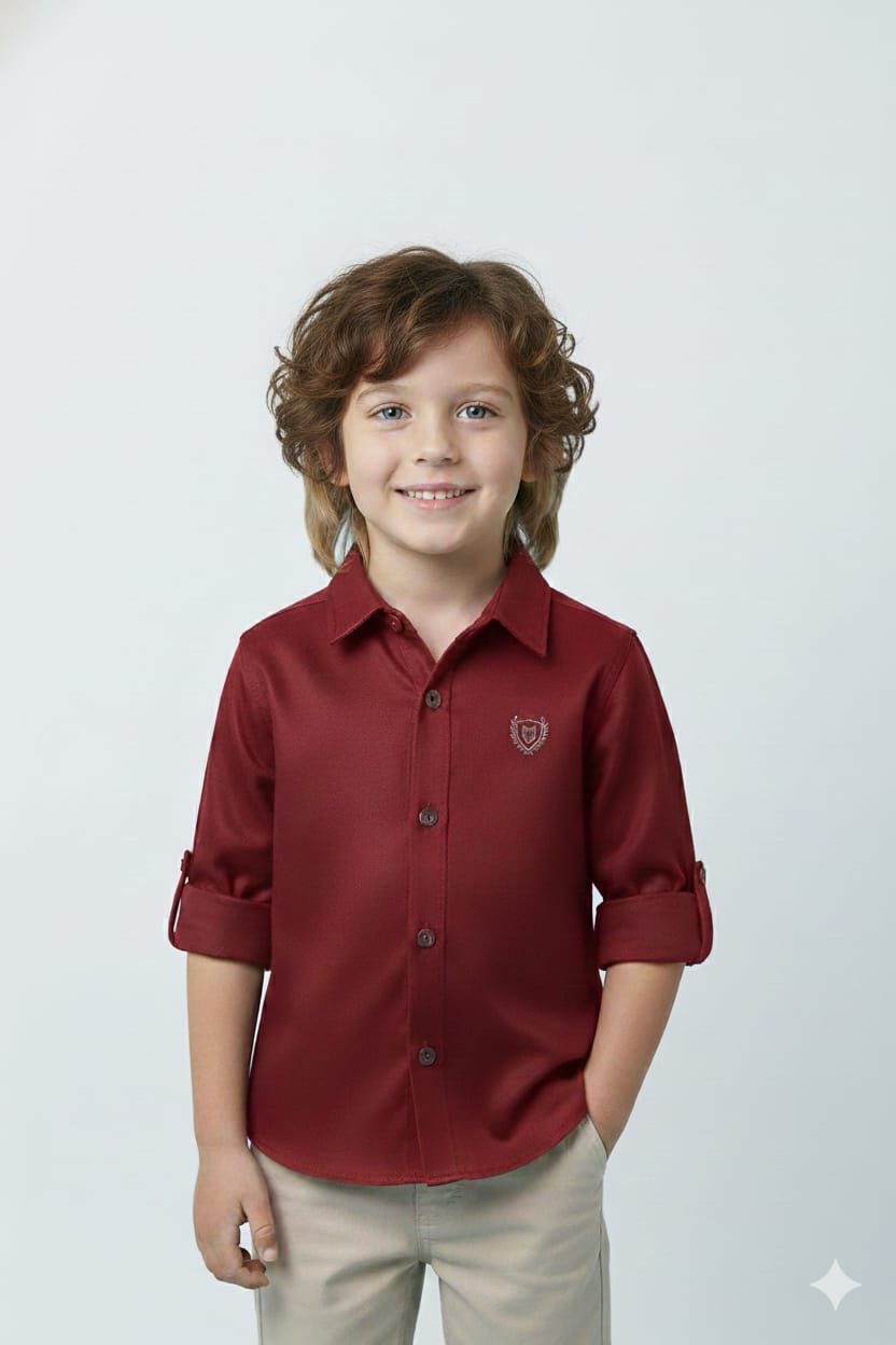 Burgundy Partywear Shirt