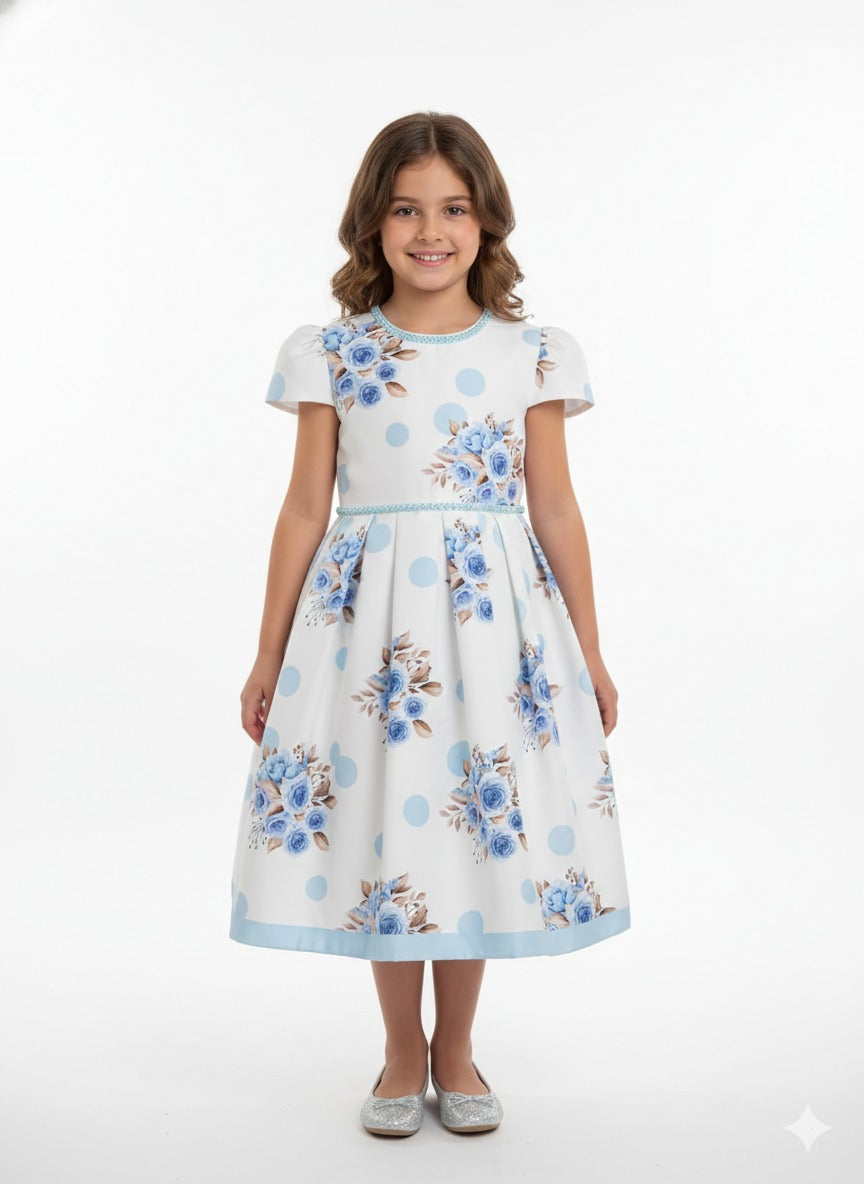 Blue and White Theme vintage-inspired tea-length dress