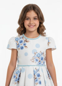 Blue and White Theme vintage-inspired tea-length dress