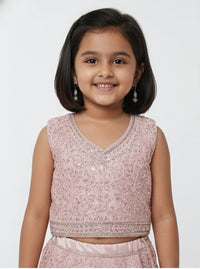 Blush Pink Embellished Lehenga Set