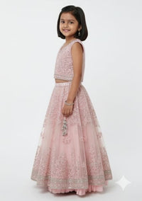 Blush Pink Embellished Lehenga Set