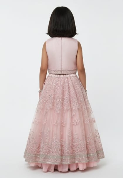Blush Pink Embellished Lehenga Set