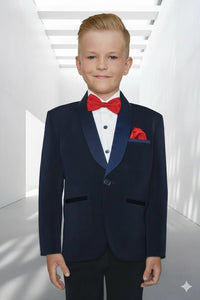 Boy’s Formal Blue Tuxedo Set
