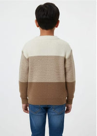 Cozy Color Block Sweater