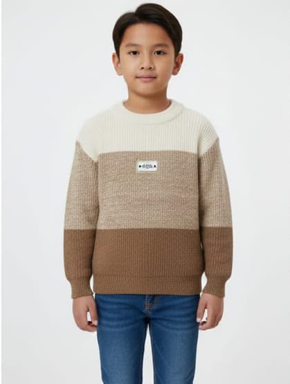 Cozy Color Block Sweater