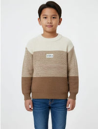 Cozy Color Block Sweater