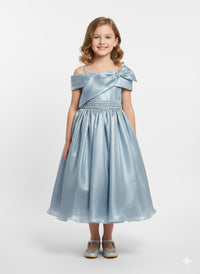 Light Blue Satin-finish Gown