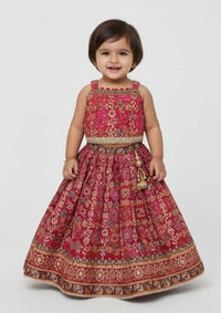 Magenta Lehenga choli set with detailed work