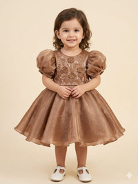 Shimmering Bronze-toned Party Dress