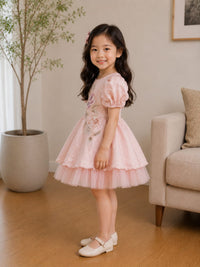 Elegant Rose Embroidered Layered Party Frock