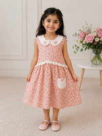 Cottagecore Embroidered Peter Pan Collar Frock