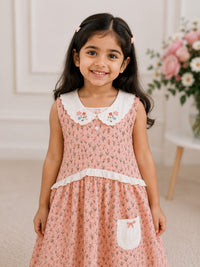 Cottagecore Embroidered Peter Pan Collar Frock