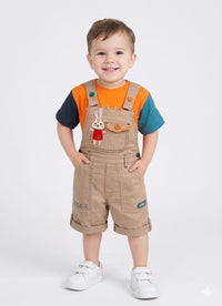 Toddler Boys' Playful Colorblock T-Shirt & Dungaree Set