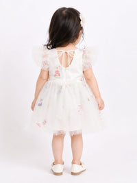 Whimsical Floral Embroidered Tulle Party Frock