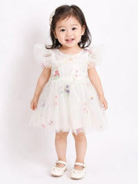 Whimsical Floral Embroidered Tulle Party Frock