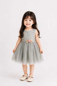 Elegant Sage Green Embroidered Tulle Frock