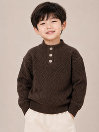 Boys' Dark Brown Basketweave Knit Buttoned High-Neck Sweater.