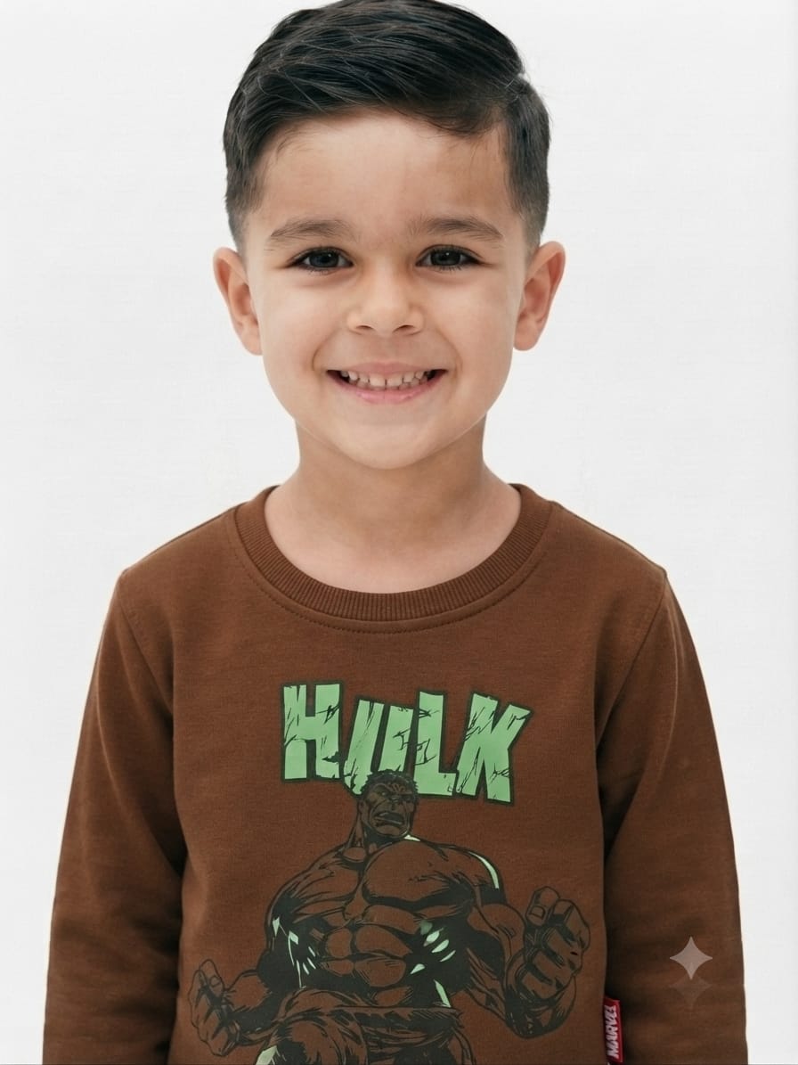Boys' Brown Hulk Printed Pre-Winter Sweatshirt.
