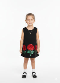 Chic Sleeveless A-Line Frock with Sequin Rose Appliqués