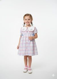 Vintage-Style Embroidered Plaid Dress with Peter Pan Collar